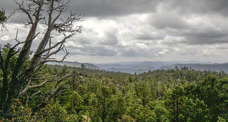 Highline Trail, Payson, Arizona. Photo by davidpinter/wiki.
