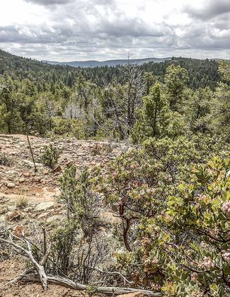 Highline Trail, Payson, Arizona. Photo by davidpinter/wiki.