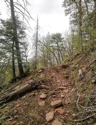 Highline Trail, Payson, Arizona. Photo by davidpinter/wiki.