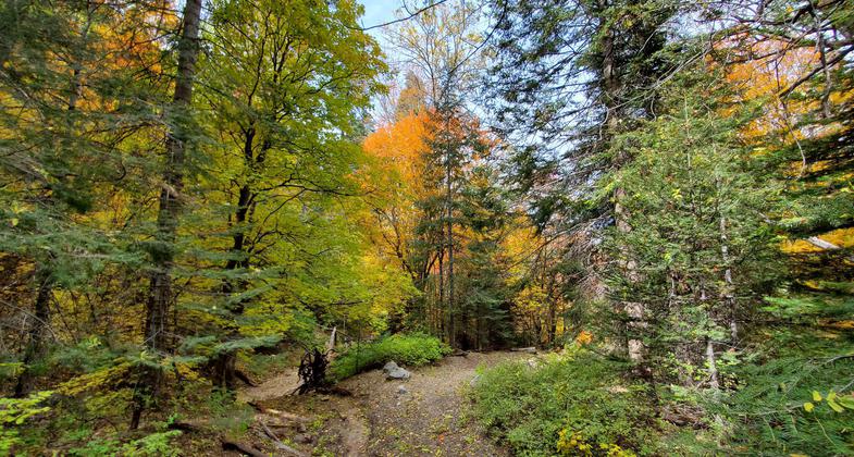 Upper Six Shooter Canyon. Photo by Chris Johnson.