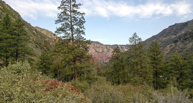 Wilson Mountain North Trail, Sedona, Arizona, Coconino County. Photo by David Pinter/wiki.