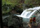 Falls Branch Trail passes by the Falls Creek Falls. Photo by Courtesy Arkansas State Parks.