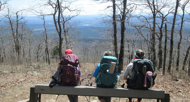 Foray, Trooper, and Flame enjoying view just west of Ok./Ark. State Line. Photo by Erma Humphries.