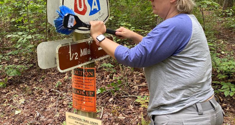 Trail bed restoration on the Ouachita Trail near MM164. Photo by Dave Whittington.