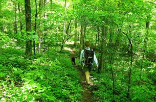 Ozark Highlands Trail