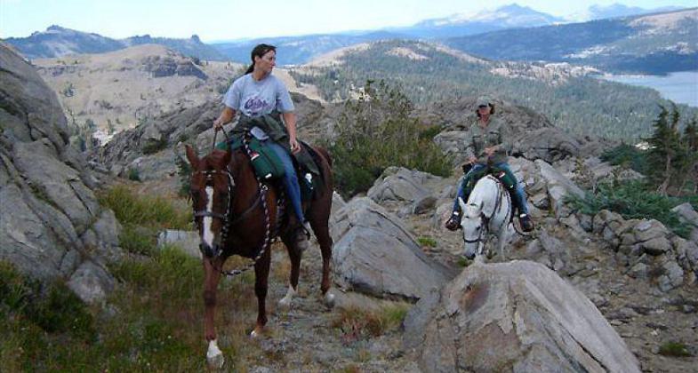 Photo by Kimberli Fish.