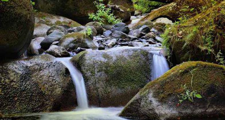 Along the Feather Falls Trail - photo by Leasha Hooker.