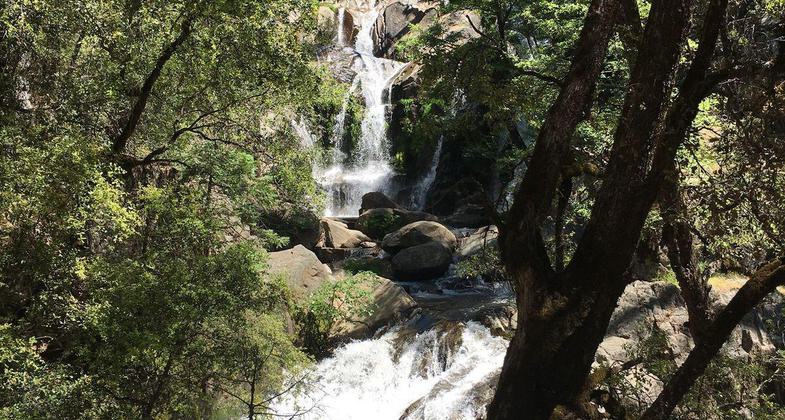 Lewis Creek Trail Corlieu Falls. Photo by USFS.