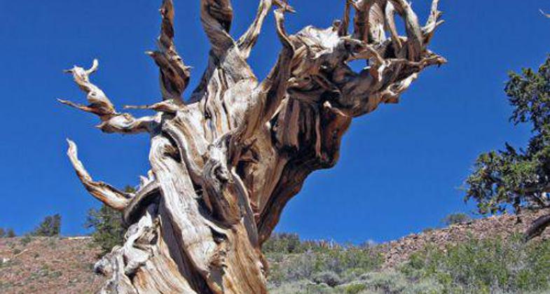 Trailhead. Photo by Pam Riches.