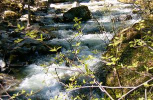 Middle Fork Applegate