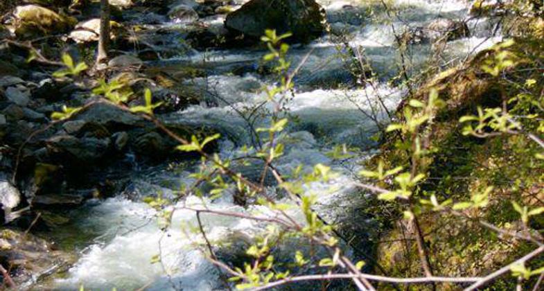 Middle Fork of the Applegate River.