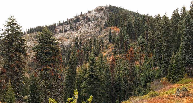 Salmon Summit Trail. Photo by Rob DiPerna.