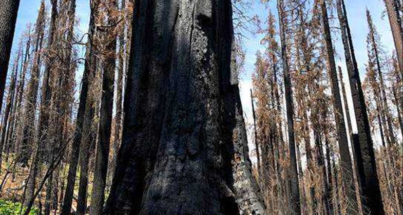 Photo pre-2017 Railroad Fire. Photo by USFS.