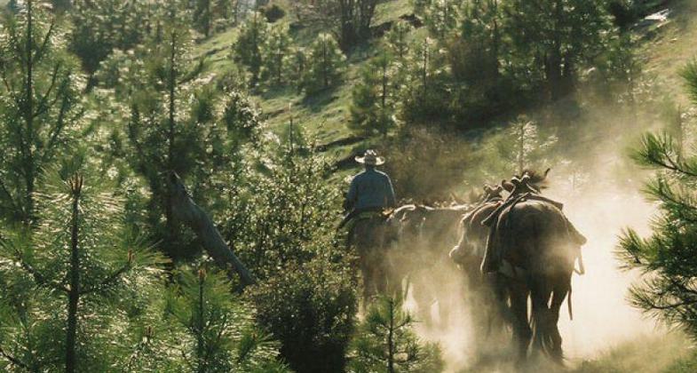 Dusty trail into base camp. photo by Julie Green.