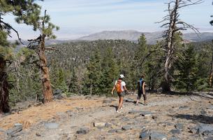 Sugarloaf Trail