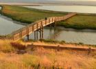 Tidelands Trail in SF Bay NWR. Photo by Ambarish Goswami.