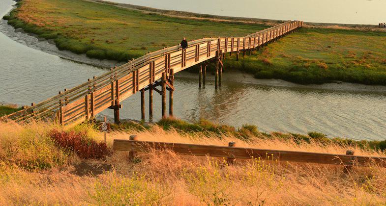 Tidelands Trail in SF Bay NWR. Photo by Ambarish Goswami.
