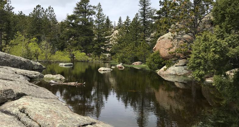 Seasonal water at the summit area. Photo by Pam Riches.