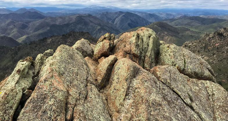 The summit looking west. Photo by Pam Riches.