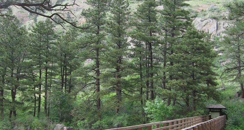 Trailhead. Photo by Pam Riches.