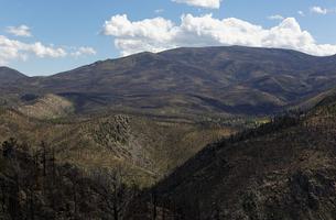 Mount McConnel Trails System