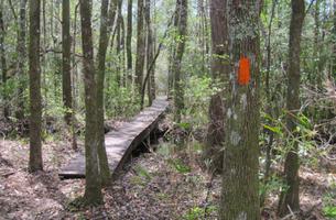 Jackson Trail