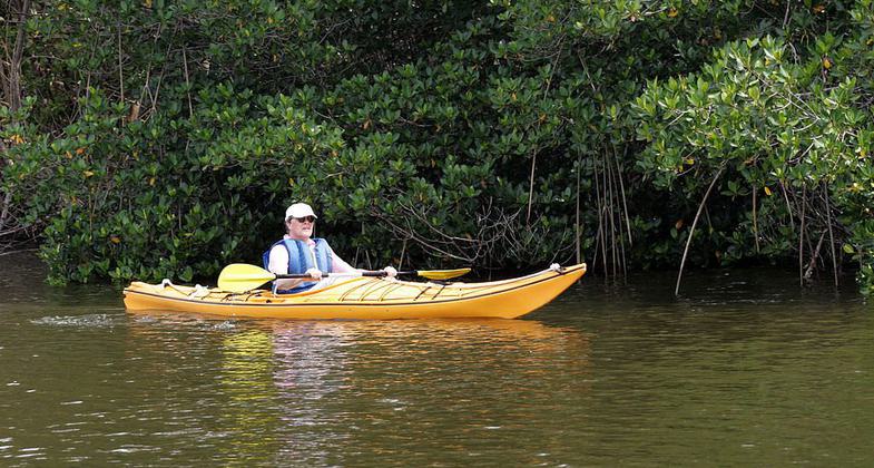 Flamingo - Inland Waterway. Photo by NPSPhoto, R. Cammauf.