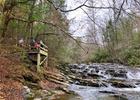 Falls viewing platform. Photo by Stay Active Ellijay.