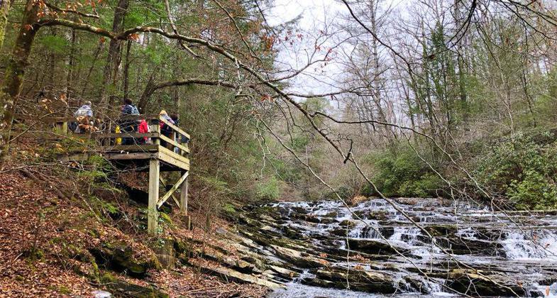 Falls viewing platform. Photo by Stay Active Ellijay.