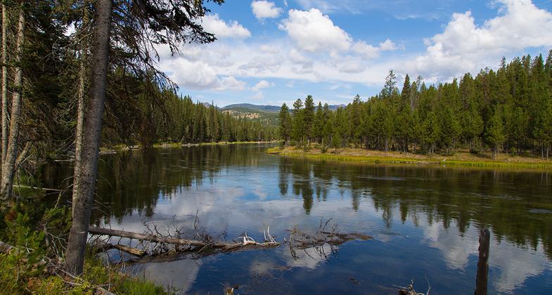 Henry's Fork of the Snake River near the Coffee Pot Rapids area near Island Park, Idaho. Photo by wiki James N Perdue.