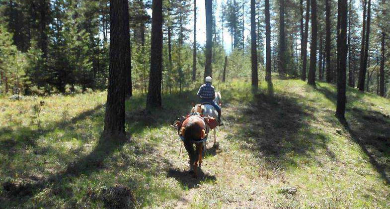 PRVBCH doing pre-season clearing on the trail. Photo by Mary Schrempp.