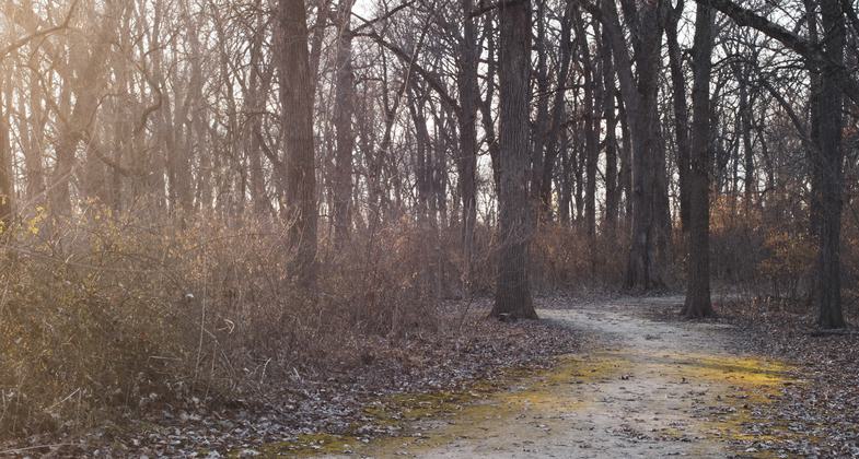 Photo by Breanne Hunter.