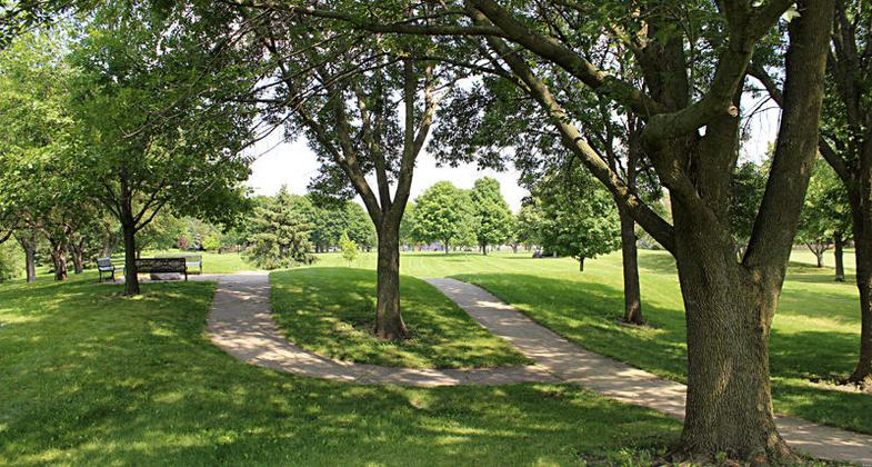 Photo by Courtesy Champaign Parks.