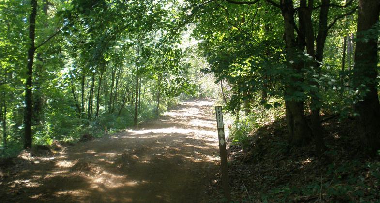 Photo by Nancy Myers.