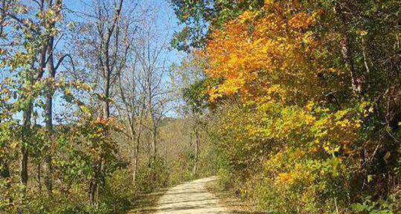 Bridge 29 finished!. Photo by Heritage Trail Dubuque.