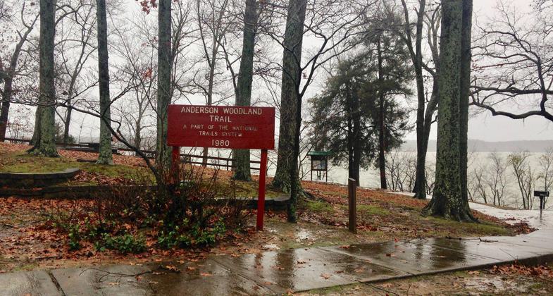 Anderson Woodland Trail sign. Photo by Donna Kridelbaugh & John Stone.