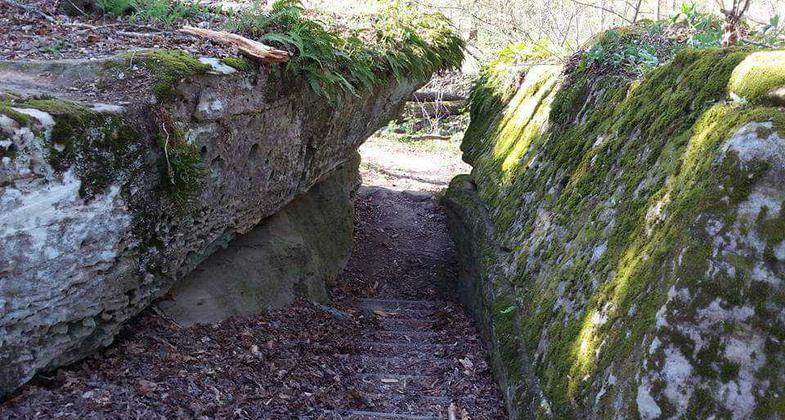 Photo by Jeffrey Burns.