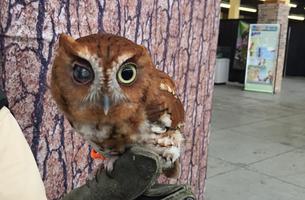 Cypress Nature Trail