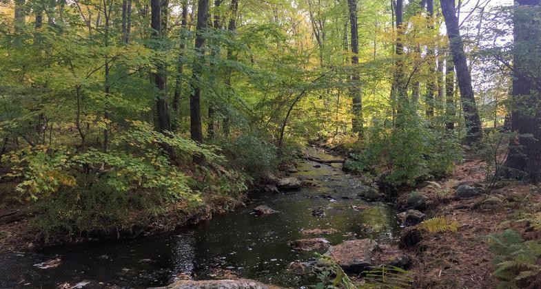 Photo by Audubon Society of RI.