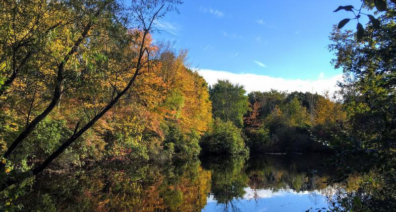 Photo by Audubon Society of RI.