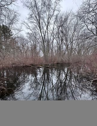 Photo by Janie Walker.