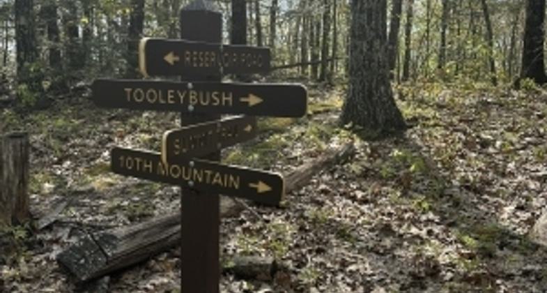 Out for some snowshoeing. Photo by Ariel Lavery.