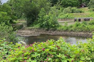 Saugus Iron Works Nature Trail
