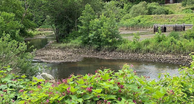 Path by the river. Photo by Janie Walker.