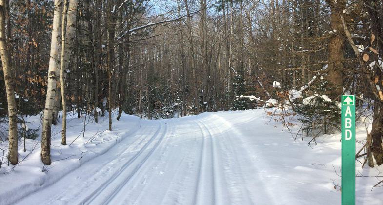 Groomed and ready for a weekend. Photo by NPS.