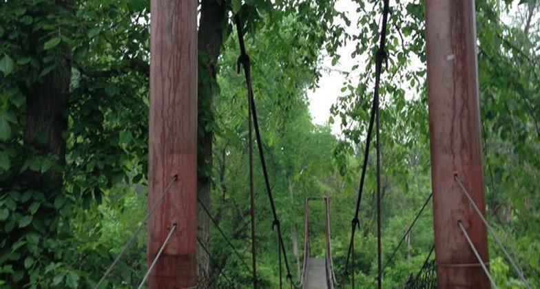 Swinging Bridge at Deerfield Nature Park. Photo by Carol Cushman.