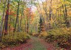 Fall scenery on the Taconite State Trail. Photo by Minnesota DNR.