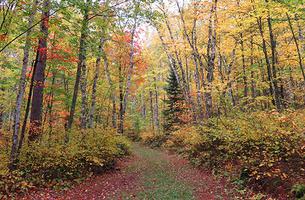 Taconite Trail