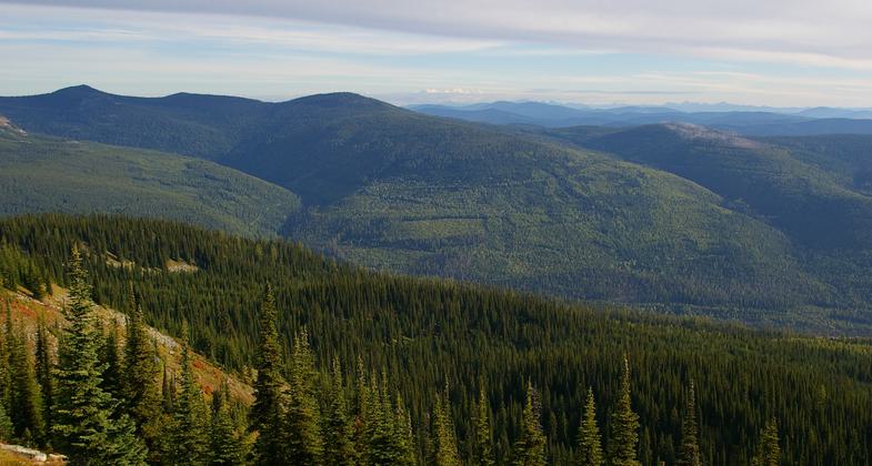 View from Baldy Lookout. Photo by Wade Moats/USFS.