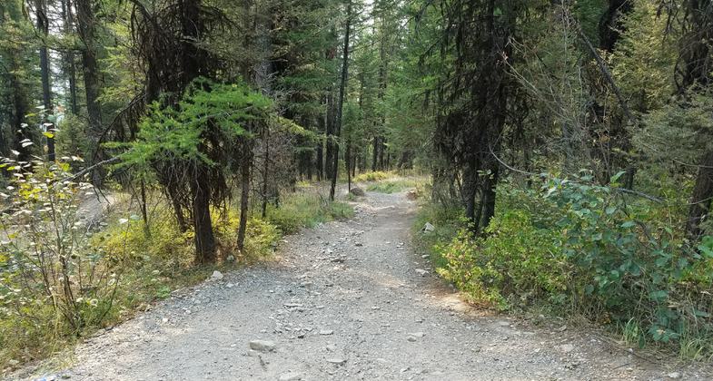 Photo by USFS.